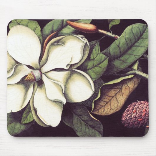 Weiße Magnolie Mousepad, cooles Mousepads (Vorne)