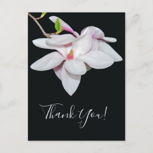 Weiße Magnolie Postkarte