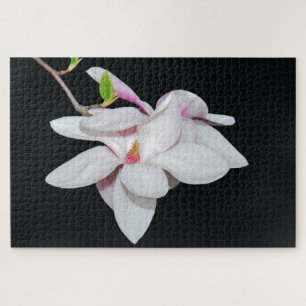 Weiße Magnolie Puzzle