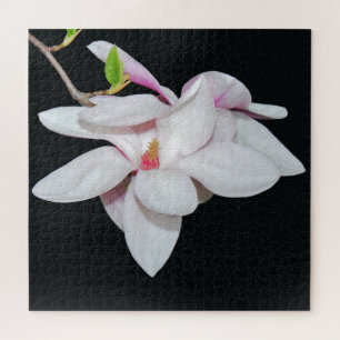 Weiße Magnolie Puzzle