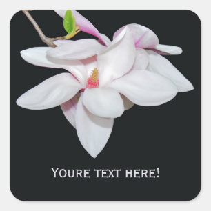 Weiße Magnolie Quadratischer Aufkleber