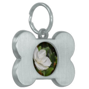 Weiße Magnolie Tiermarke