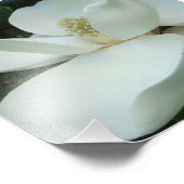 Weiße Magnolien blühen große Blätter Fotodruck (Ecke)