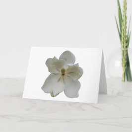Weiße Magnolien-Blume auf leerer Anmerkungskarte Karte
