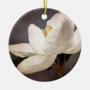 Weiße Magnolien Blume Blumenkohl Blume Grau Keramik Ornament