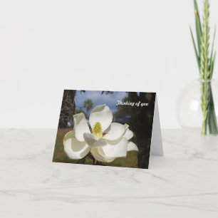 Weiße Magnolien-Blume sagt das Denken an Sie Karte