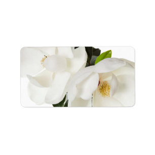 Weiße Magnolien-Blumen-Magnolien-BlumenBlumen Adressaufkleber