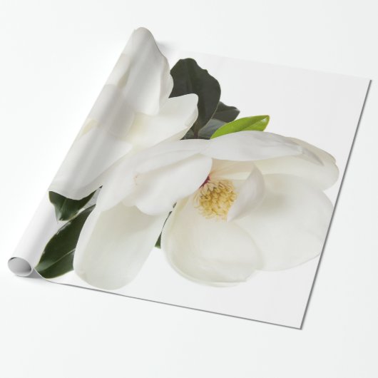 Weiße Magnolien-Blumen-Magnolien-BlumenBlumen Geschenkpapier (Ungerollt)