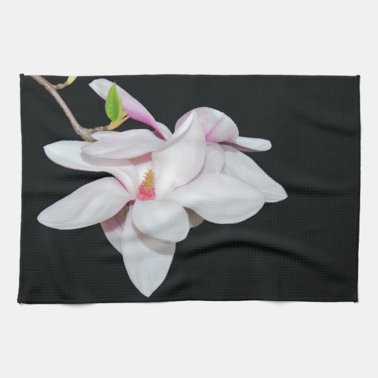 Weiße Magnolien Geschirrtuch (Horizontal)