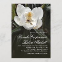 Weiße Magnolien Moderne Blumen