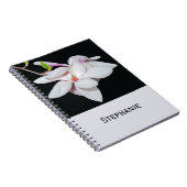Weiße Magnolien Notizblock (Rechte Seite)