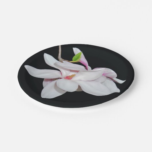 Weiße Magnolien Pappteller (Schrägansicht)