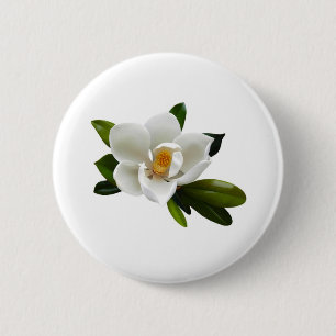 weiße Magnolienblüte Button