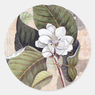 Weiße Magnolienblüte Vintage-Botanik Runder Aufkleber