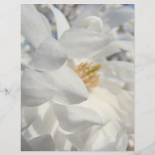 Weiße Magnolienblüten Briefkopf Designer Blauer Hi