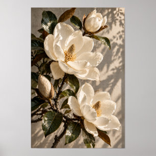 Weiße Magnolienblüten in warmem natürlichem Licht Poster
