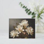 Weiße magnolische Blume Postkarte (Stehend Vorderseite)