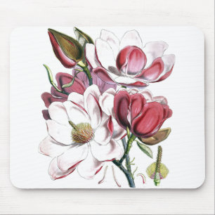 Weiße Magnolische Blume Vintag Alte Illustration Mousepad