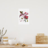 Weiße Magnolische Blume Vintag Alte Illustration Poster (Küche)