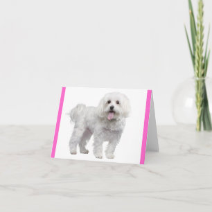 Weiße Malteser-Welpen-Hund Blank Rosa Notizkarte Karte