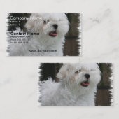 Weiße maltesische Hündchen-Visitenkarte Visitenkarte (Vorne/Hinten)