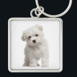 Weiße maltesische Welpen-Hunde-Liebe Custom Schlüs Schlüsselanhänger<br><div class="desc">Liebe auf den ersten Blick! Wer kann dem süßen Gesicht eines maltesischen Welpen widerstehen? Dieser lustige Schlüsselanhänger ist mit einem weißen maltesischen Welpe stehend auf einem knusprigen, weißen Hintergrund. Jedes Mal, wenn Sie Ihre Schlüssel verwenden, schickt Ihnen dieser niedliche maltesische Pup eine Menge Liebe. Ein Welpen-Schlüsselanhänger macht sich selbst oder...</div>
