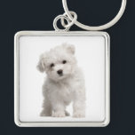 Weiße maltesische Welpen-Hunde-Liebe Custom Schlüs Schlüsselanhänger<br><div class="desc">Liebe auf den ersten Blick! Wer kann dem süßen Gesicht eines maltesischen Welpen widerstehen? Dieser lustige Schlüsselanhänger ist mit einem weißen maltesischen Welpe stehend auf einem knusprigen, weißen Hintergrund. Jedes Mal, wenn Sie Ihre Schlüssel verwenden, schickt Ihnen dieser niedliche maltesische Pup eine Menge Liebe. Ein Welpen-Schlüsselanhänger macht sich selbst oder...</div>