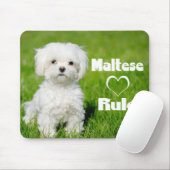 Weiße maltesische Welpenhunde-Liebe Mousepad (Mit Mouse)