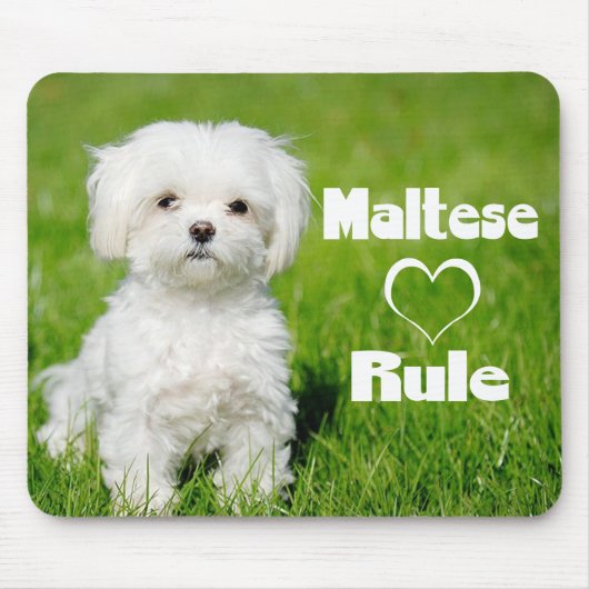 Weiße maltesische Welpenhunde-Liebe Mousepad (Vorne)