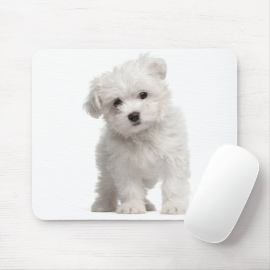 Weiße maltesische Welpenpolster Mousepad (Mit Mouse)
