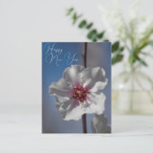 Weiße Mandelblüte Blume Botanische Fotografie Postkarte (Stehend Vorderseite)
