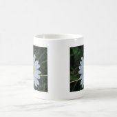 Weisse Margerite auf Stäbchen Kaffeetasse (Mittel)