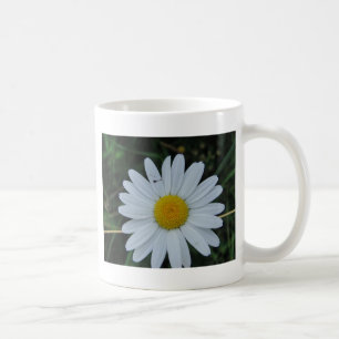 Weisse Margerite auf Stäbchen Kaffeetasse