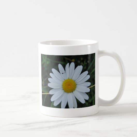 Weisse Margerite auf Stäbchen Kaffeetasse (Rechts)