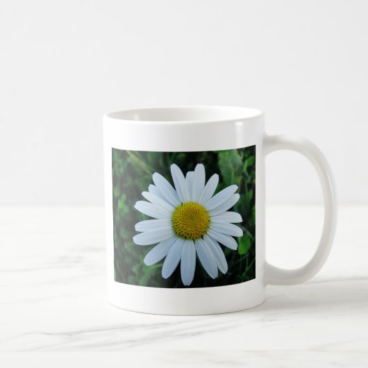 Weisse Margerite Kaffeetasse (Rechts)