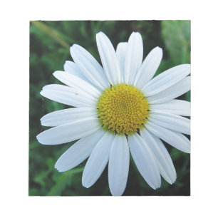 Weisse Margerite Notizblock