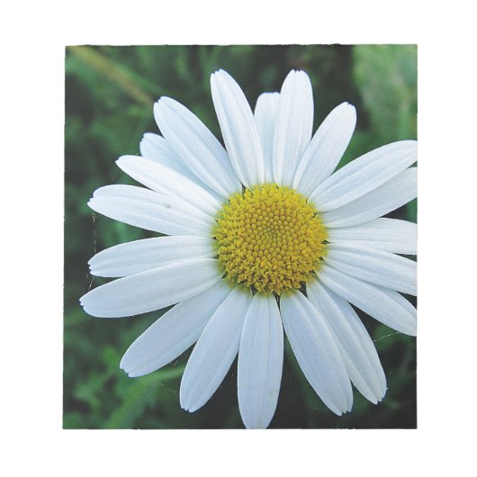 Weisse Margerite Notizblock (Vorderseite)