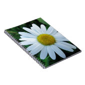 Weisse Margerite Notizblock (Rechte Seite)