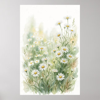 Weiße Margerite Wildblume Wasserfarben Poster