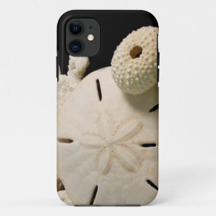 Weiße Meeresmuscheln und Sand-Dollar Case-Mate iPhone Hülle