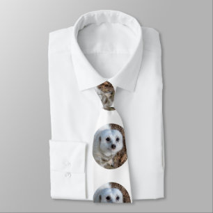 Weiße Meerkat, Mens Silky Krawatte. Krawatte