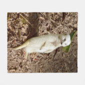 Weiße Meerkat, mittelfläschchen. Fleecedecke (Vorderseite (Horizontal))