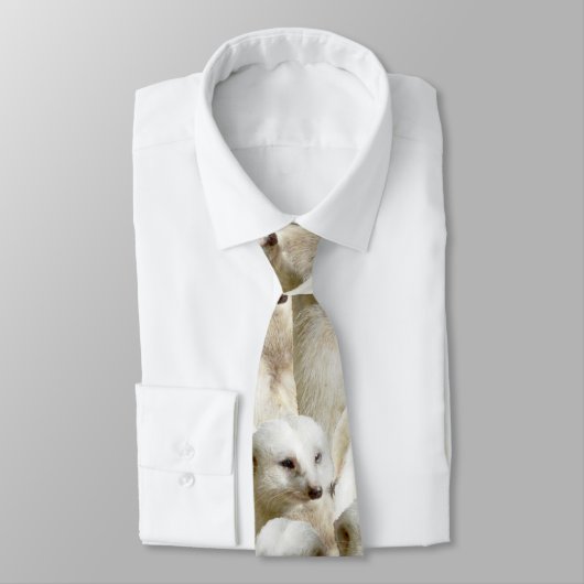 Weiße Meerkats, Krawatte (Gebunden)