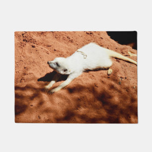 Weiße Meerkatstich, Türmatte