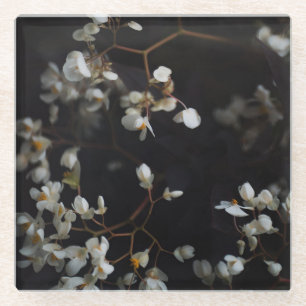 Weiße melancholische Blumen auf dunklem Hintergrun Glasuntersetzer