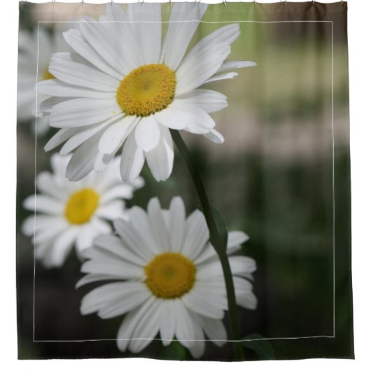 Weiße Milchprodukte mit dunkelgrün Duschvorhang (Vorderseite)