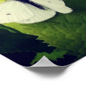 Weiße Motte. Poster (Ecke)