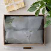 Weiße Mottenorchideen auf Papiertaschentuch Seidenpapier (Geschenk)