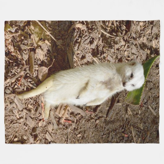 Weiße Mücke, große Fleeceflocke. Fleecedecke (Vorderseite (Horizontal))