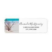 Weiße Muscheln an einem tropischen Strand (Vorne)